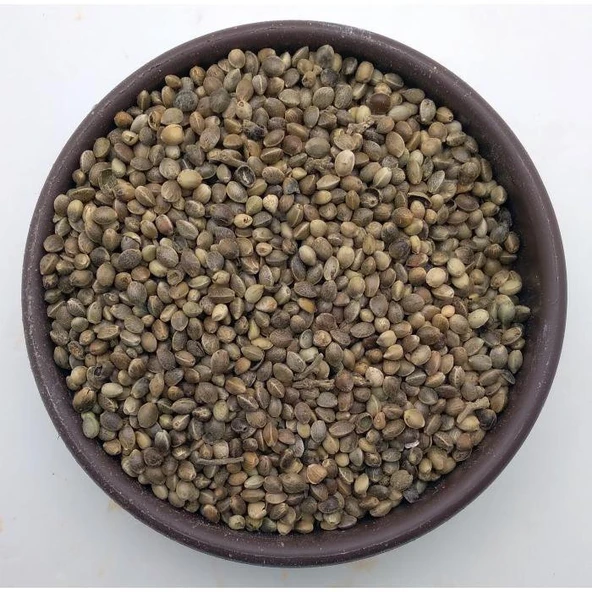 Kendir (Kenevir) Tohumu 5Kg - Resim 2