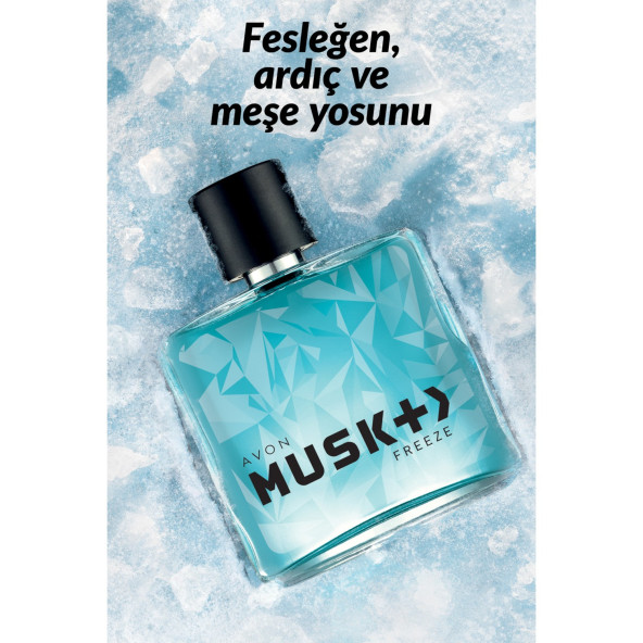 Avon Musk Freeze Erkek Parfüm Edt 75 Ml. ürün görseli 1
