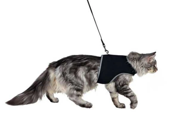 Trixie Kedi Göğüs Tasma Seti XL 36-54cm 120cm ürün görseli 1