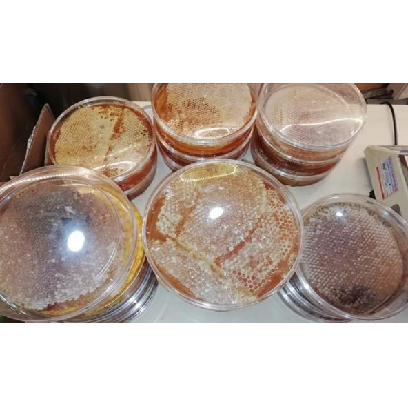 1300 GR KARAKOVAN BALI - Resim 2