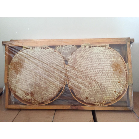 1300 GR KARAKOVAN BALI - Resim 3