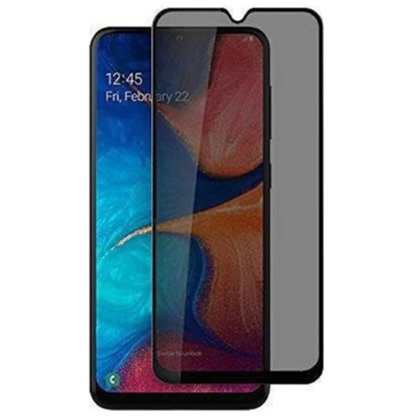 Samsung Galaxy A20 Uyumlu Hayalet Ekran Koruyucu Tam Kaplayan Gizli ürün görseli 1
