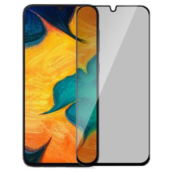 Samsung Galaxy A30 Uyumlu Hayalet Ekran Koruyucu Tam Kaplayan Gizli Privacy ürün görseli 1