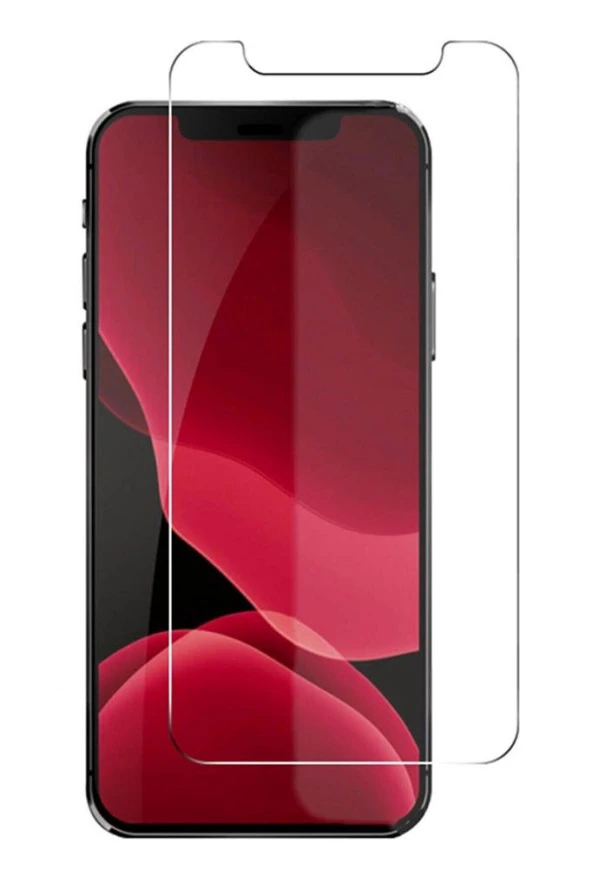 Apple iPhone 12 Pro Max Ekran Koruyucu 9H ürün görseli 1