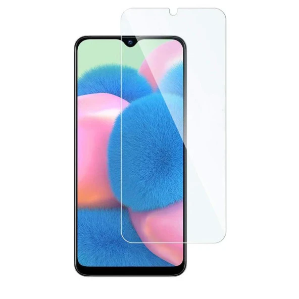 Samsung Galaxy A30S Ekran Koruyucu 9H ürün görseli 1