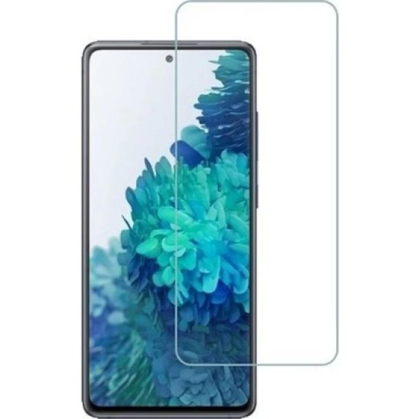 Samsung Galaxy S20 FE Ekran Koruyucu ürün görseli 1