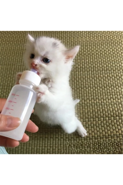 Yavru Kedi Köpek Biberonu 60 Ml ( 1 Adet ) ürün görseli 1