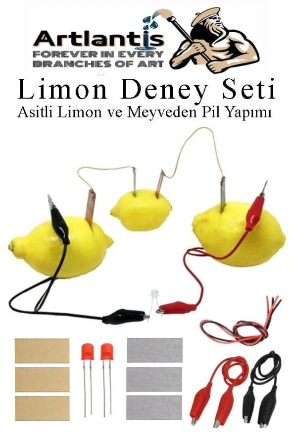 Elektrik Limon Deney Seti 1 Paket Limondan Elektrik Üretme Seti Limon Pili Fen Bilgisi Dersi Kimyasal Enerji ürün görseli 1