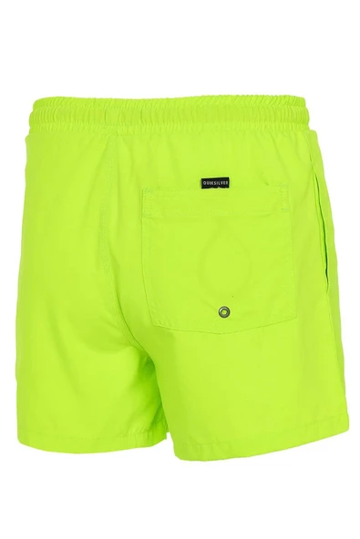 Quiksilver Everyday 15 Erkek Volley Yeşil Şort - Resim 3