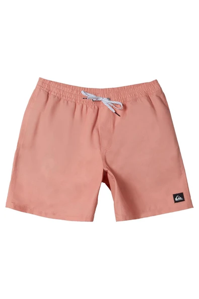 Quiksilver Everyday 15 Erkek Samon Volley  Şort ürün görseli 1