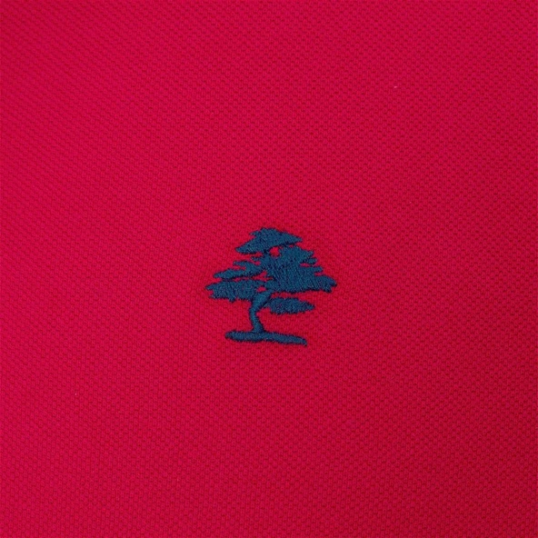 Routefield RFPARTISAN23 Partisan Erkek Polo Tişört - Resim 2