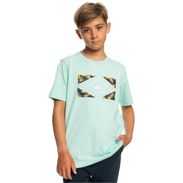 Quiksilver EQBZT04590 Circledline B Tees Erkek Çocuk Tişört ürün görseli 1