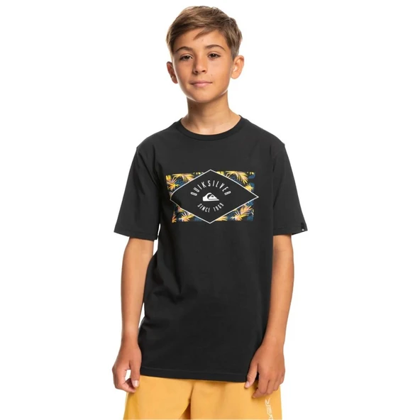 Quiksilver EQBZT04590 Circledline B Tees Erkek Çocuk Tişört ürün görseli 1