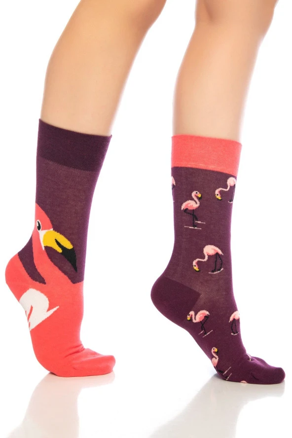 Unisex Bordo Flamingo Renkli Çorap ürün görseli 1