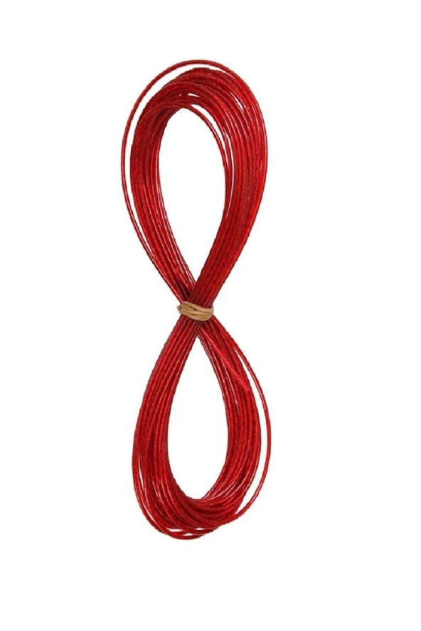 Çelik Çamaşır İp 10 metre ürün görseli 1