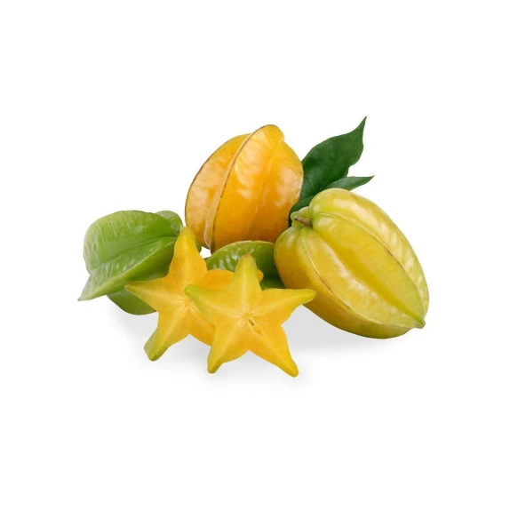 Meyve Verir Durumda 20 Lt Saksıda Carambola (Yıldız Meyvesi) Fidanı ürün görseli 1