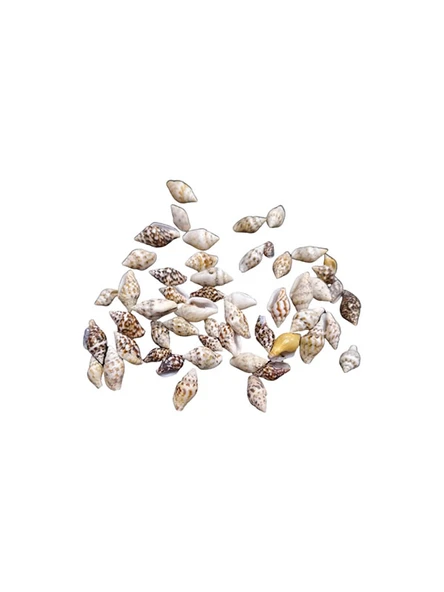 Deniz Kabuğu Küçük 25 gr ürün görseli 1