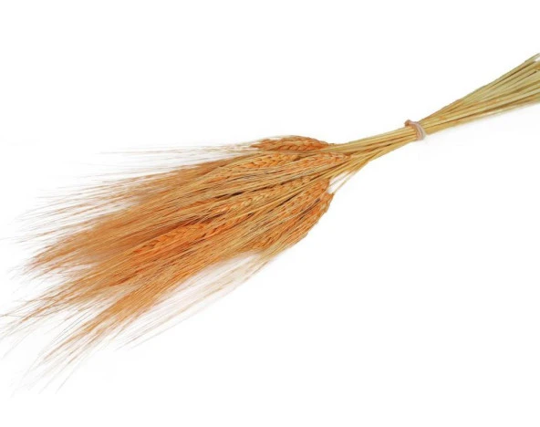 Nettenevime Kuru Çiçek Doğal Turuncu Başak 35gram 1. Kalite Şoklanmış Bozulmaz ürün görseli 1