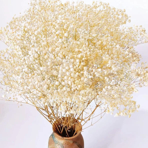 Nettenevime Kuru Çiçek Doğal KREM Cipso 50gram 1. Kalite Şoklanmış Bozulmaz ürün görseli 1