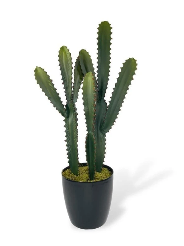 Nettenevime Yapay Çiçek Kaktüs Ağacı 3Köşeli 3Boy Siyah Saksıda 70*30cm sk4020 ürün görseli 1