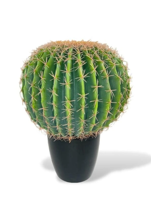 Nettenevime Yapay Çiçek Echinocactus Grusonii Altın Fıçı Kaktüs Siyah Saksıda 50*35cm Cactüs  sk4011s ürün görseli 1