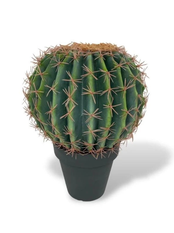 Nettenevime Yapay Çiçek Echinocactus Grusonii Altın Fıçı Kaktüs Siyah Saksıda 35*25m Cactüs  sk4010s ürün görseli 1