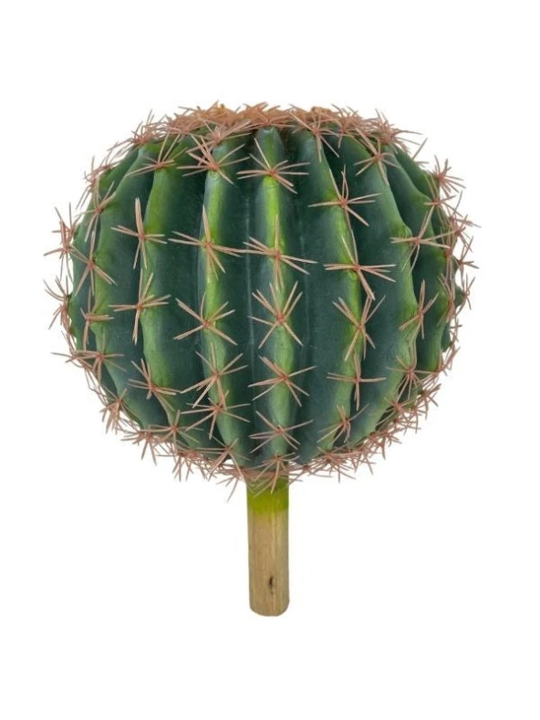 Nettenevime Yapay Çiçek Echinocactus Grusonii Altın Fıçı Kaktüs  25*25cm Cactüs  sk4010 ürün görseli 1