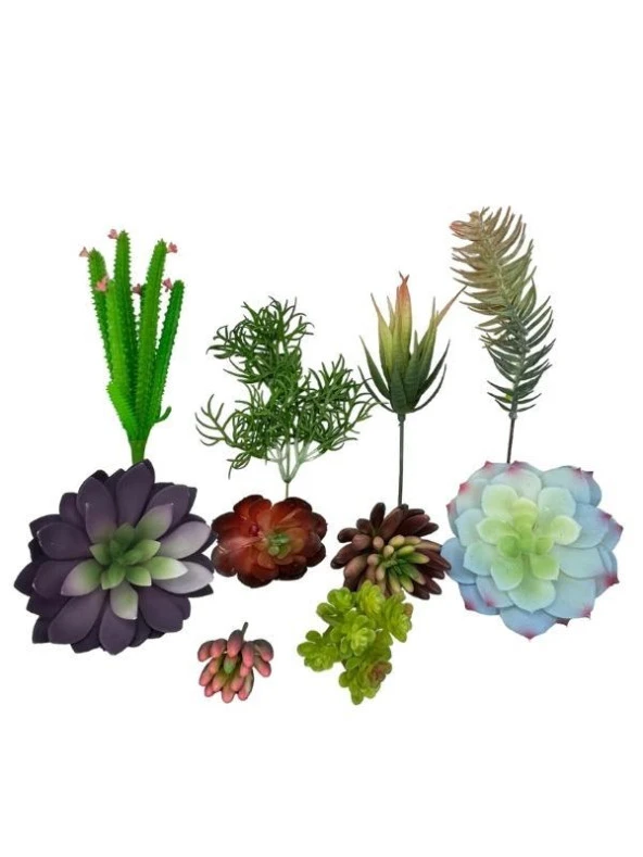 Nettenevime 10lu Set Yapay Çiçek Kaktüs Sukulent Modelleri 10 Karışık Model Skulent 0202 ürün görseli 1