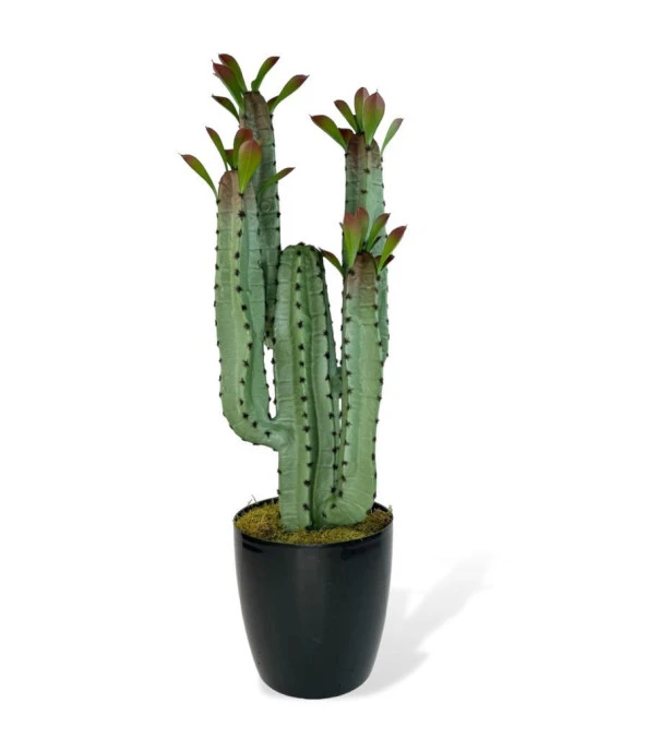 Nettenevime Yapay Çiçek Kaktüs Ağacı 4kollu Kızıl YapraklıSiyah Saksıda 70*22cm 4027 ürün görseli 1