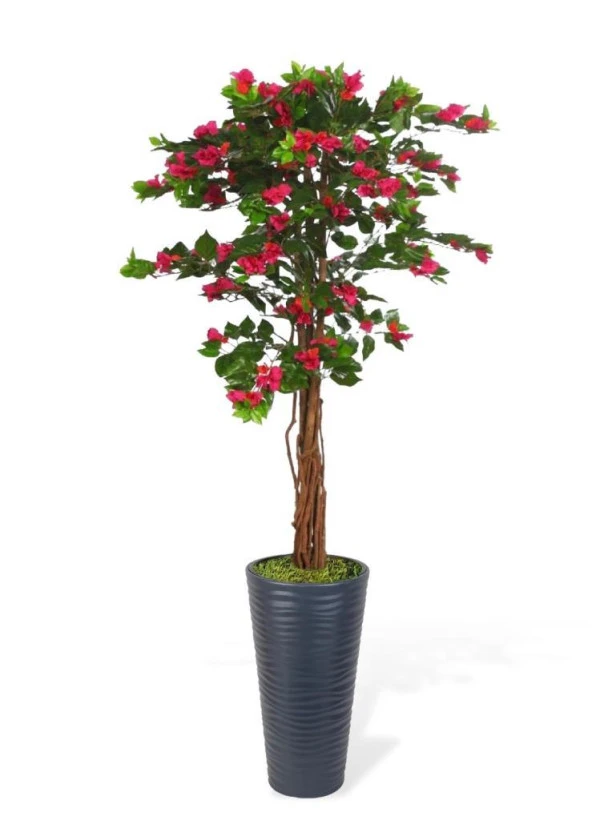 Nettenevime Yapay Ağaç Antrasit 57cm Kumsal Vazoda Begonvil Ağacı Fuşya Bodrum Çiçeği 180cm ürün görseli 1