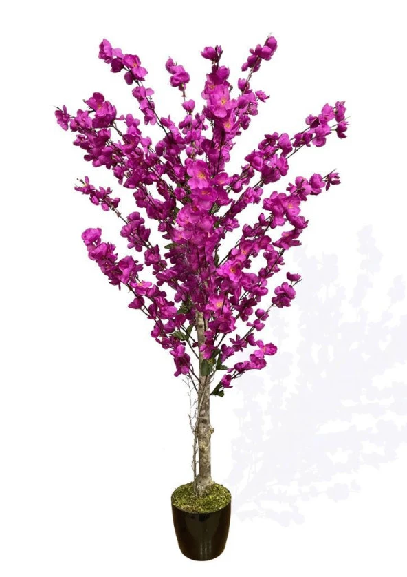 Nettenevime Yapay Ağaç Bahardalı Ağacı Mor Japon Kiraz Çiçeği Sakura Çiçeği 127x70cm Siyah Plastik Saksılı ürün görseli 1