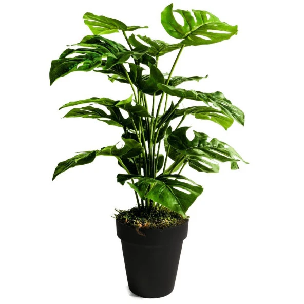 Nettenevime Yapay Ağaç Salon Bitkisi Monstera 60 cm 18 Yaprak Antrasit Saksıda ürün görseli 1