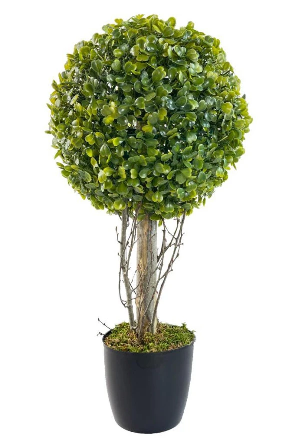 Nettenevime Yapay Ağaç Şimşir Top Tek Toplu 23cmx45cm Siyah Saksılı ürün görseli 1