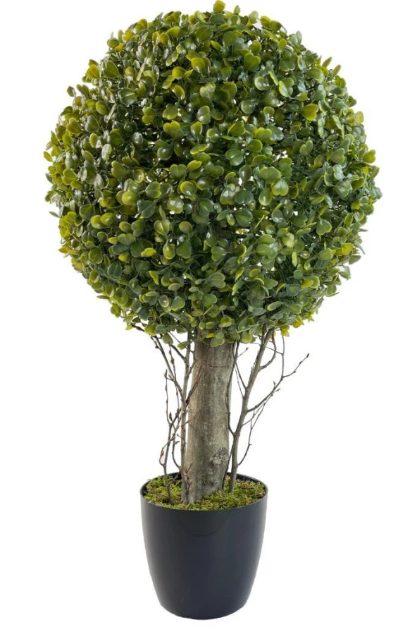Nettenevime Yapay Ağaç Şimşir Top Tek Toplu 28x48cm Siyah Saksılı ürün görseli 1
