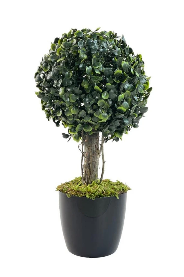 Nettenevime Yapay Ağaç Şimşir Top Tek Toplu 18x35cm Siyah Saksılı ürün görseli 1