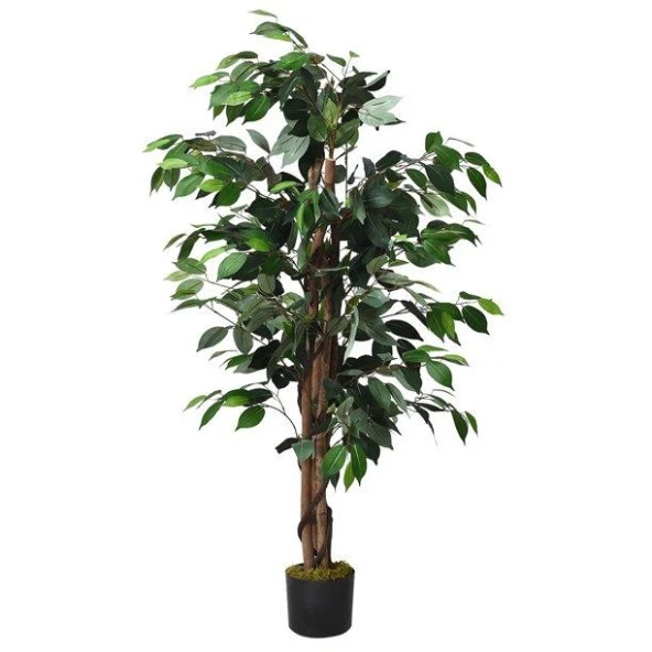 Nettenevime Yapay Ağaç Benjamin 2 Gövdeli Çalılı 120x70cm Siyah Plastik Saksılı ürün görseli 1