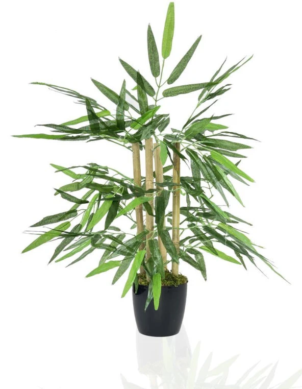 Nettenevime Yapay Ağaç Bambu Ağacı 4 Gövdeli 50X35 Siyah Plastik Saksılı ürün görseli 1