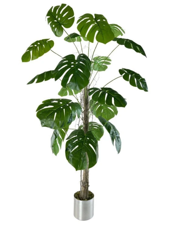 Nettenevime Yapay Ağaç Monstera 18 Dallı Çalılı Gövde 120x60cm Gümüş Aleminyum Saksıda ürün görseli 1