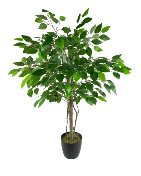 Nettenevime Yapay Ağaç Benjamin 2 Gövdeli Çalılı 90*60cm Siyah Plastik Saksılı ürün görseli 1