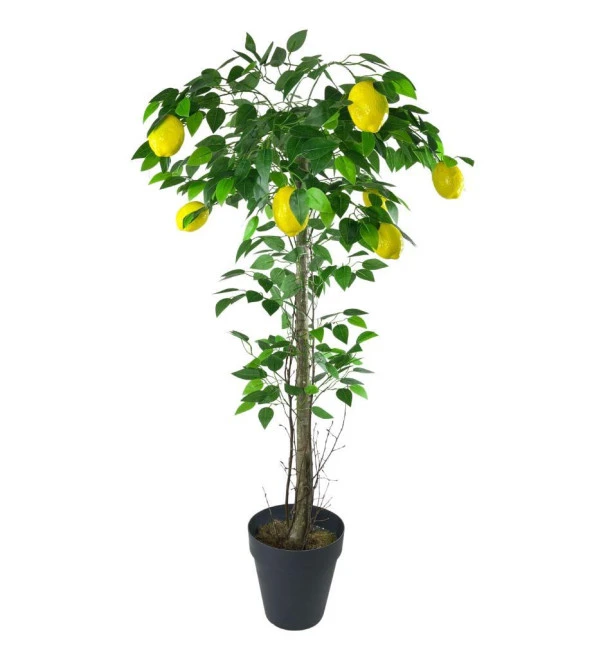 Nettenevime Yapay Limon Ağacı 130cm 8 Limonlu Doğal Görünümlü Siyah Plastik Saksılı Yapay Ağaç ürün görseli 1