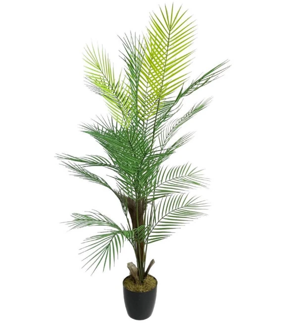Nettenevime Yapay Ağaç Areka Ağacı Palmiye Ağacı Salon Bitkisi Doğal Palmiye Lifi Gövde 130 cm 20 Yaprak ürün görseli 1