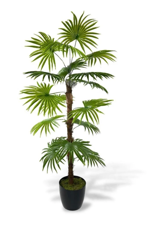 Nettenevime Yapay Ağaç Yelpaze Palmiye Fanpalm 16 Yaprak 115*55cm ürün görseli 1