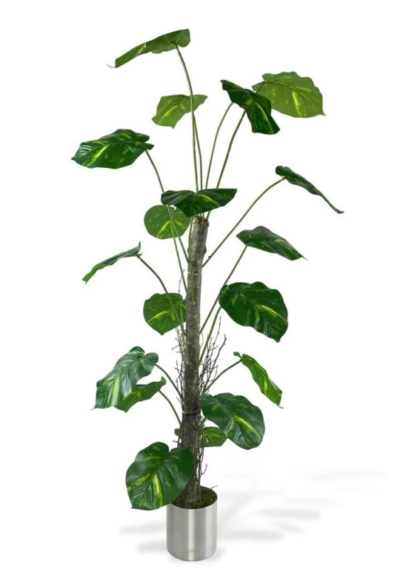 Nettenevime Yapay Ağaç Difenbahya Tropik 18 Dallı Çalılı Gövde 120x60cm Gümüş Aleminyum Saksıda ürün görseli 1