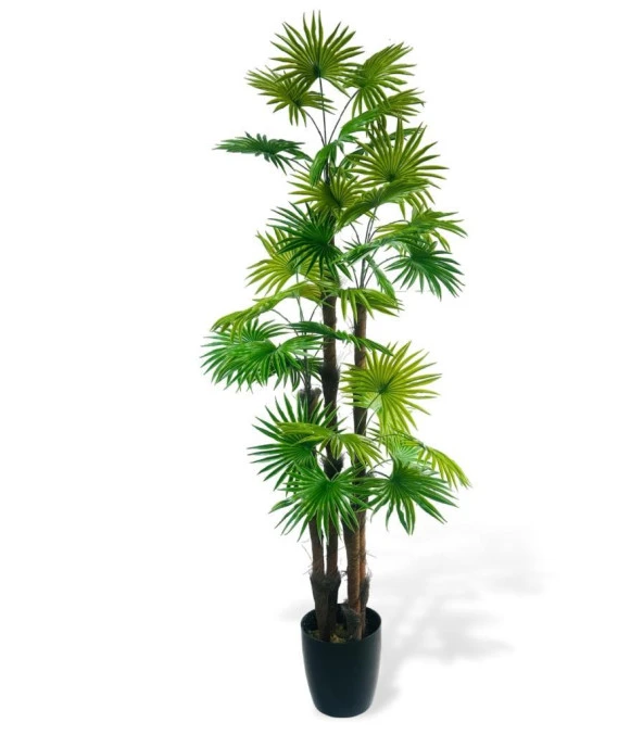 Nettenevime Yapay Ağaç Yelpaze Palmiye 4Katlı Fanpalm 32 Yaprak 170*65cm ürün görseli 1
