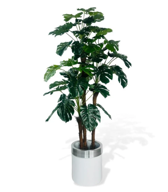 Nettenevime Yapay Çiçek Monstera Yeşil Deve Tabanı 3Katlı 135cm 54Yaprak Gümüş Kemerli Beyaz Saksıda Yapay Bitki ürün görseli 1