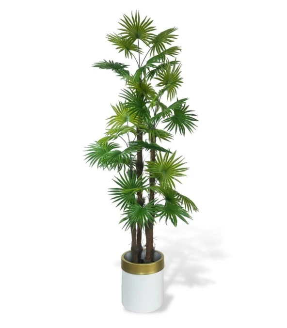 Nettenevime Yapay Ağaç Yelpaze Palmiye 4Katlı Fanpalm 32 Yaprak Altın Kemerli Beyaz Saksıda 170*65cm ürün görseli 1