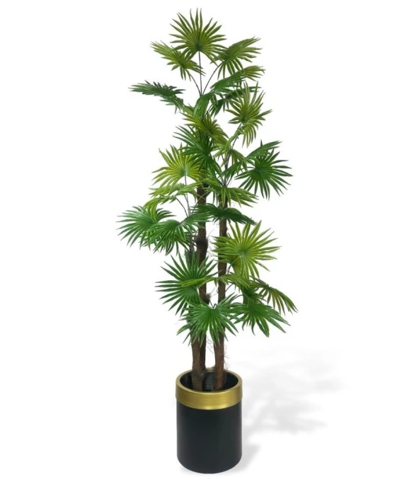 Nettenevime Yapay Ağaç Yelpaze Palmiye 4Katlı Fanpalm 32 Yaprak Altın Kemerli Siyah Saksıda 170*65cm ürün görseli 1