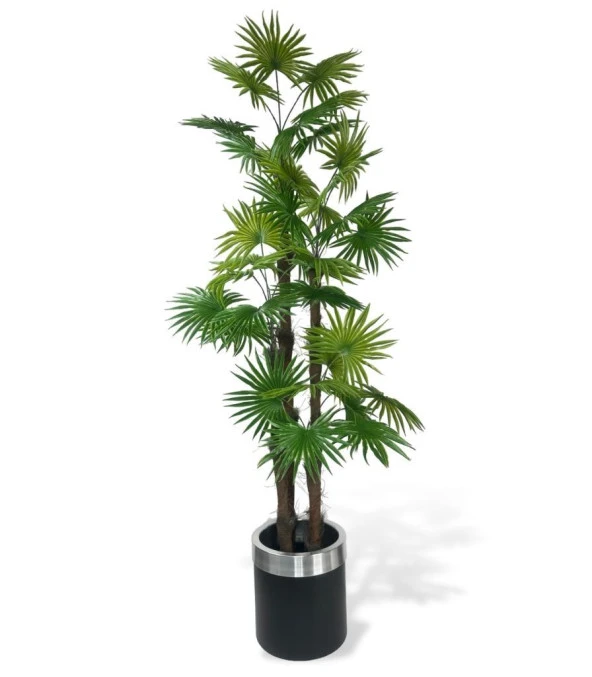 Nettenevime Yapay Ağaç Yelpaze Palmiye 4Katlı Fanpalm 32 Yaprak Gümüş Kemerli Siyah Saksıda 170*65cm ürün görseli 1