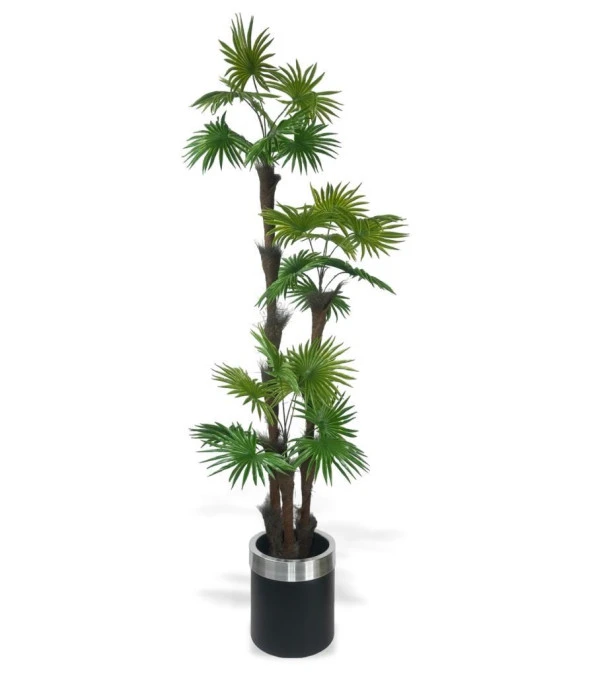 Nettenevime Yapay Ağaç Palmiye Fanpalm 3Katlı 24Yaprak Gümüş Kemerli Siyah Saksıda 165*65cm ürün görseli 1