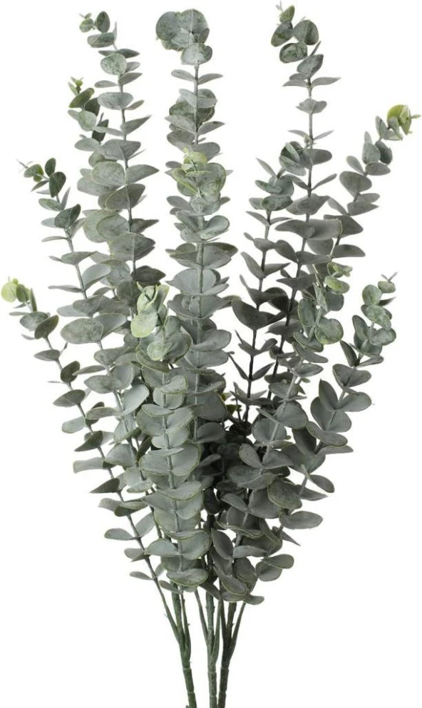 Nettenevime 3lü Set Yapay Çiçek Pastel Yeşil Okaliptus 3Dallı Uzun Dal 76cm Eucalyptus ürün görseli 1